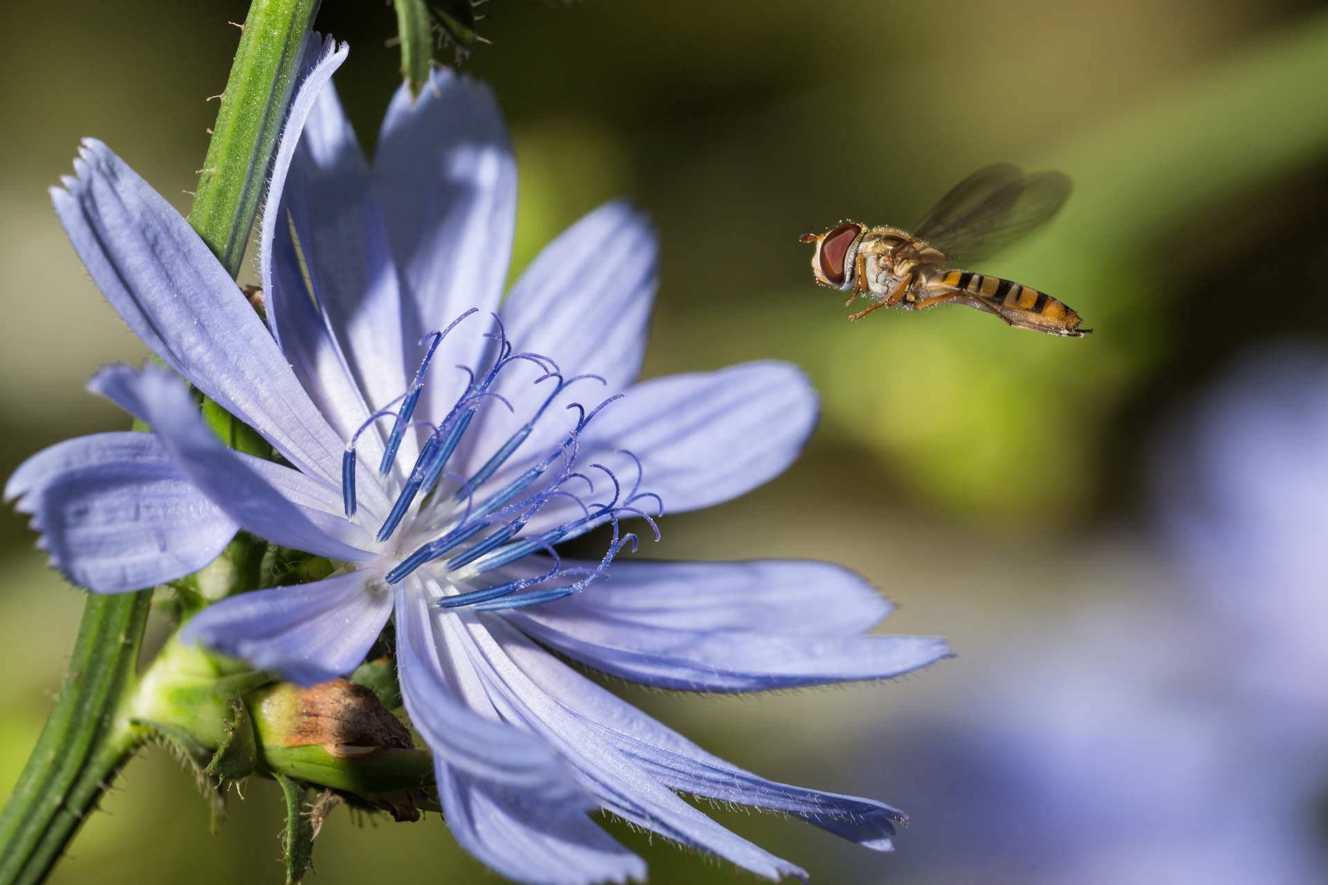 NABU Leverkusen Natur In Leverkusen NABU Leverkusen Natur In Leverkusen