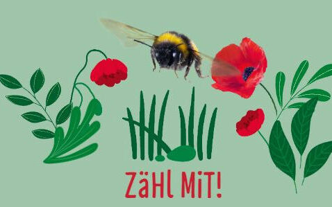 Logo "Zähl mit" zum Insektensommer