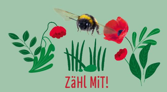 Logo "Zähl mit" zum Insektensommer