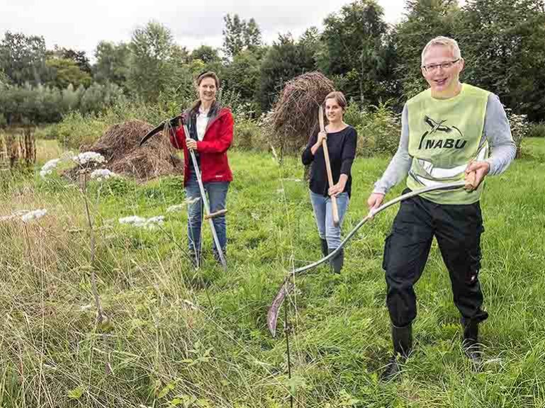 Sensen einer Wilblumenwiese