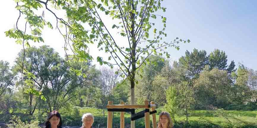 Baum Kastanienallee König-Mayer-Kundt 0B7A7924_DxO m