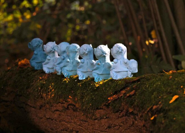 Mahnwache-Siebenschläfer