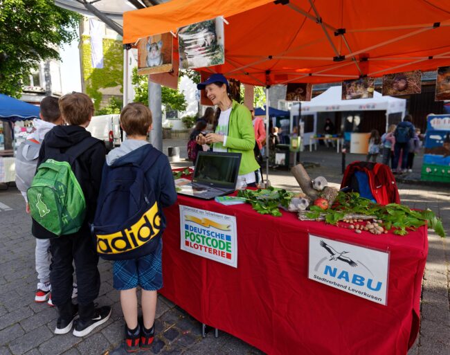 Siebenschläferinfostand 13-5-22 m