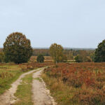 Wahner Heide Weg
