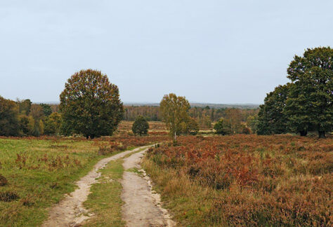 Wahner Heide Weg