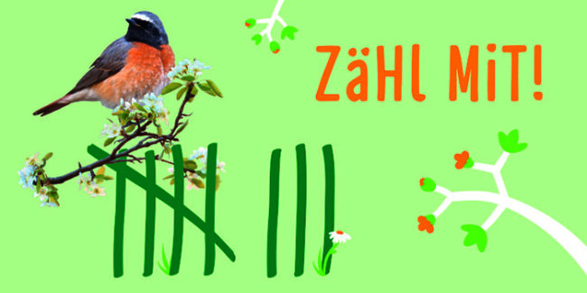 s12_sdg_banner Stunde der Gartenvögel Banner