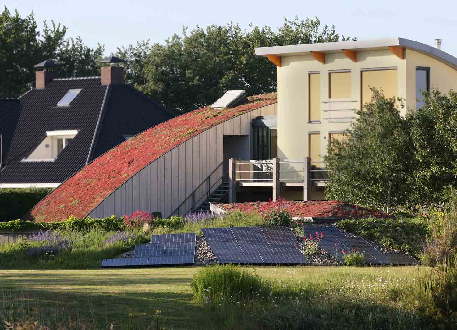 Dachbegrünung-sedum-rund-0B7A3239-w