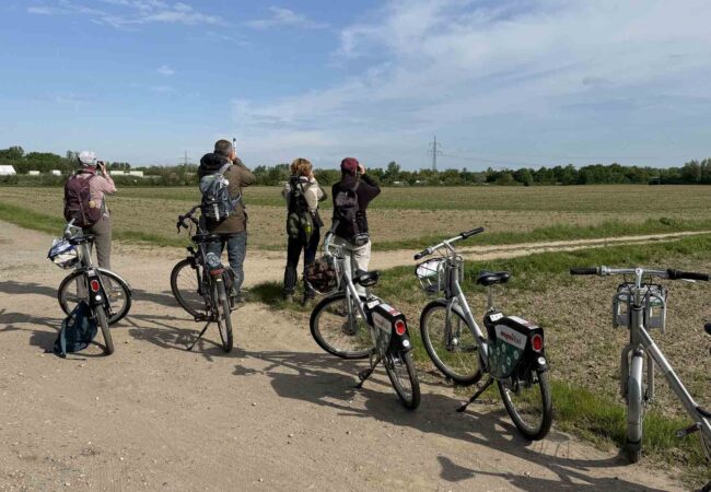 Birdrace-2026—von-Ruth-Meissner-w