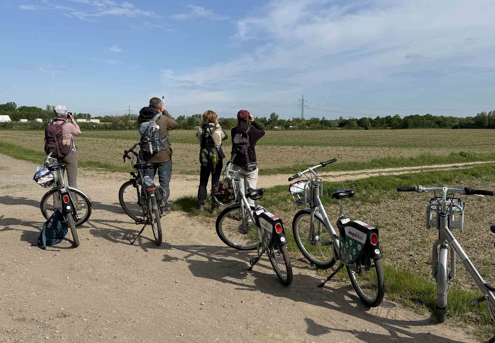 Birdrace-2026—von-Ruth-Meissner-w