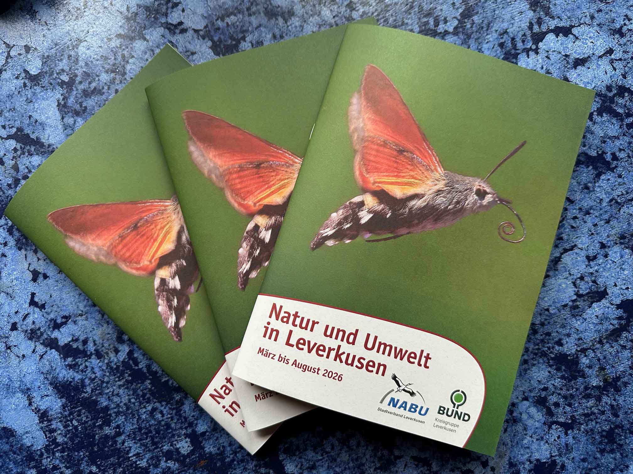 Fächer2-mit-dem-neuen-Programmheft-m