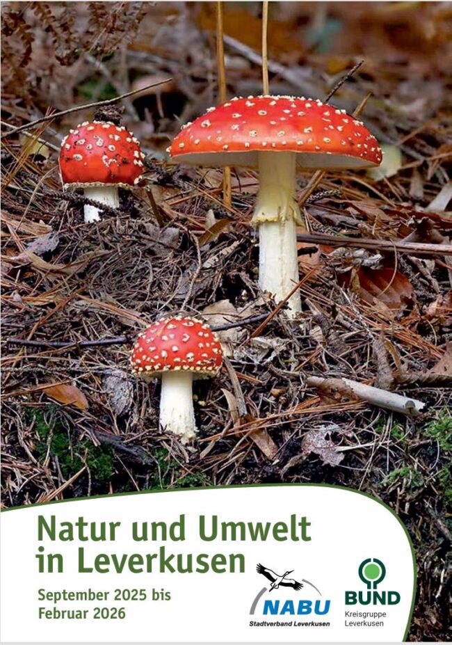 Deckblatt